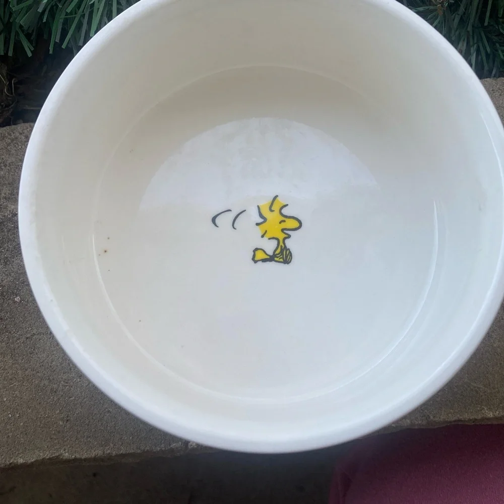 The peanuts pets bowl